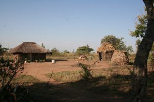 A village home
